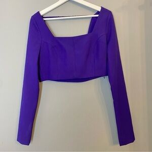 Zara Purple Long Sleeve Crop Top NWT